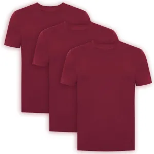 Men's T-Shirts Rayon Made from Bamboo - Modern Fit, Moisture Wicking Undershirt - Crewneck/V-Neck Tees, 3-Pack